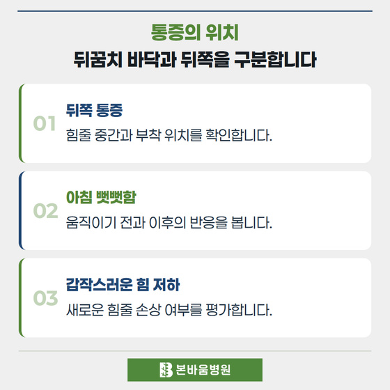 은평구정형외과 뒤쪽 통증 · 아침 뻣뻣함 · 갑작스러운 힘 저하 — 통증의 위치 · 뒤꿈치 바닥과 뒤쪽을 구분합니다