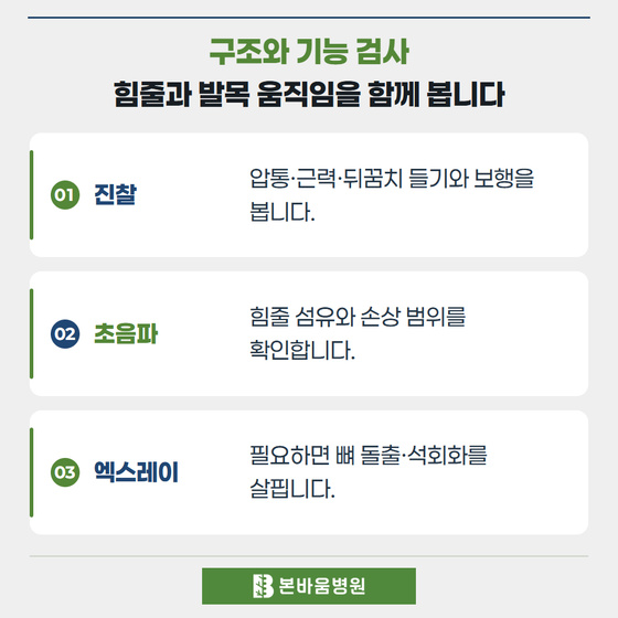 은평구정형외과 진찰 · 초음파 · 엑스레이 — 구조와 기능 검사 · 힘줄과 발목 움직임을 함께 봅니다
