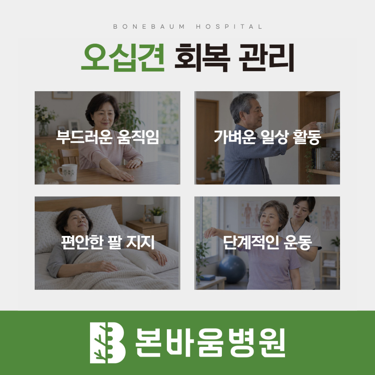 은평구정형외과 부드러운 움직임·팔 지지·가벼운 활동·단계적 운동을 보여주는 오십견 회복 관리 안내